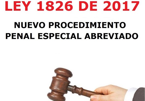 El acusador privado: ¿una oportunidad para garantizar el acceso a la&nbsp;justicia?
