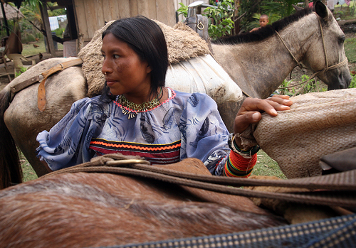 La decisión que otorga tierras a indígenas en&nbsp;Caldas