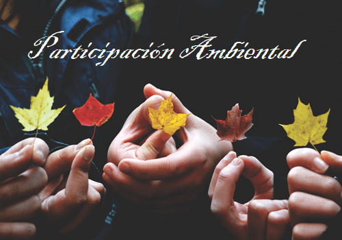 participación ambiental