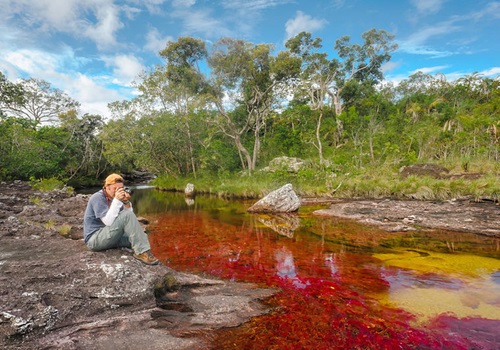protección ambiental
